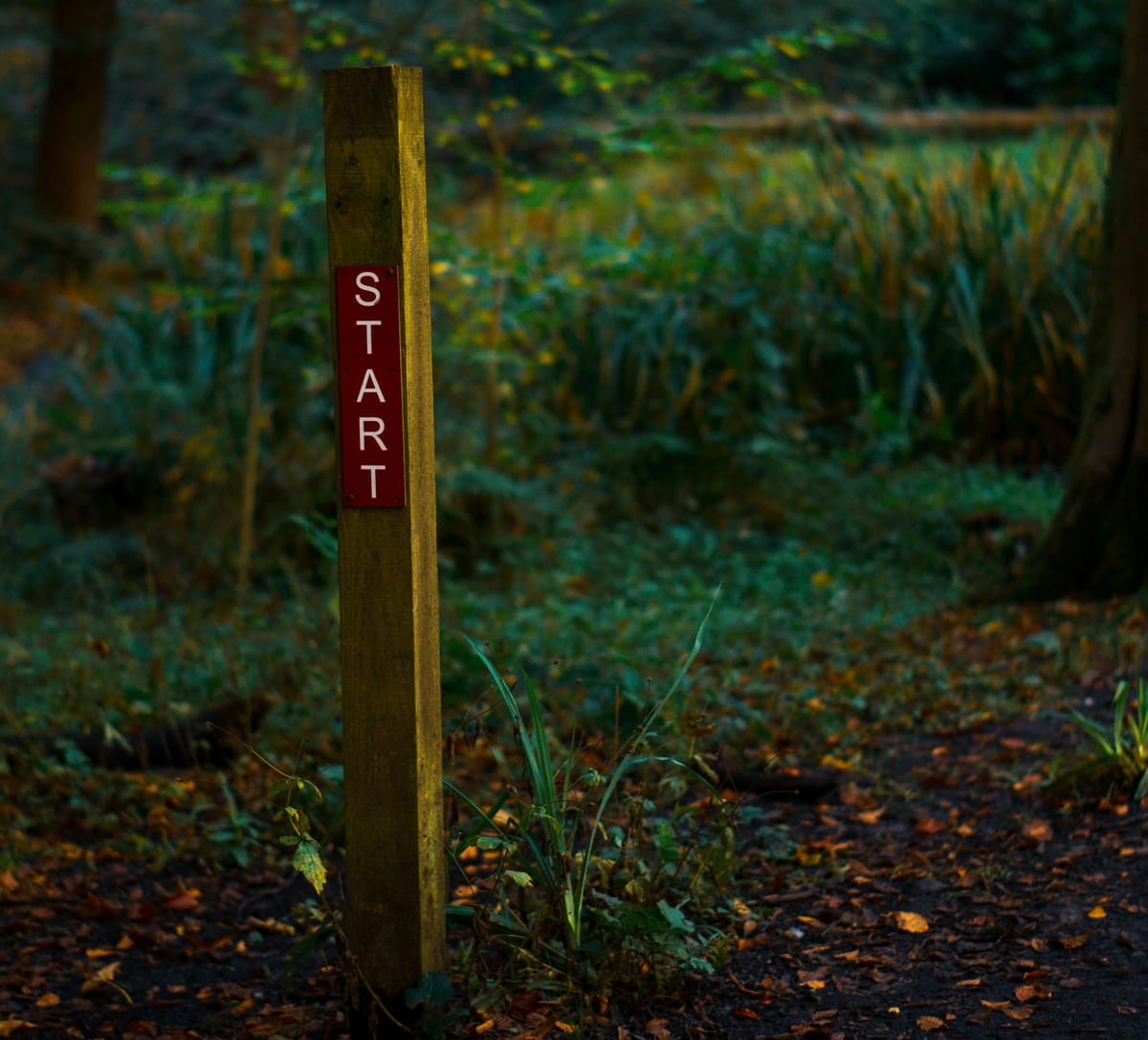 Why I Formed My New Consultancy, Limbic Systems